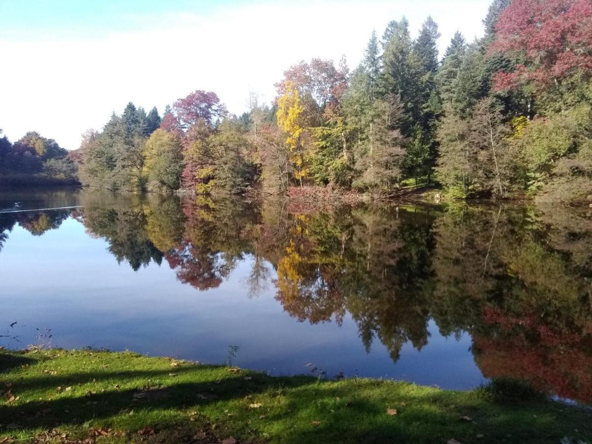 Gite De L'Arboretum Dompierre-les-Ormes Exterior foto